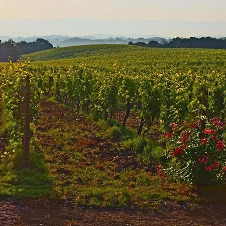 Agriturismo Fattoria Il Piano - Appartamento Focolare - Σαν Τζιμινιάνο Εξωτερικό φωτογραφία