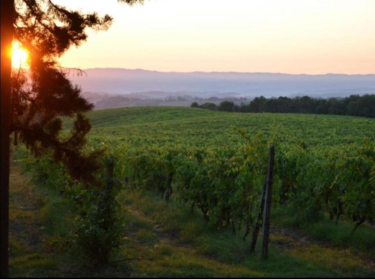Agriturismo Fattoria Il Piano - Appartamento Focolare - Σαν Τζιμινιάνο Εξωτερικό φωτογραφία