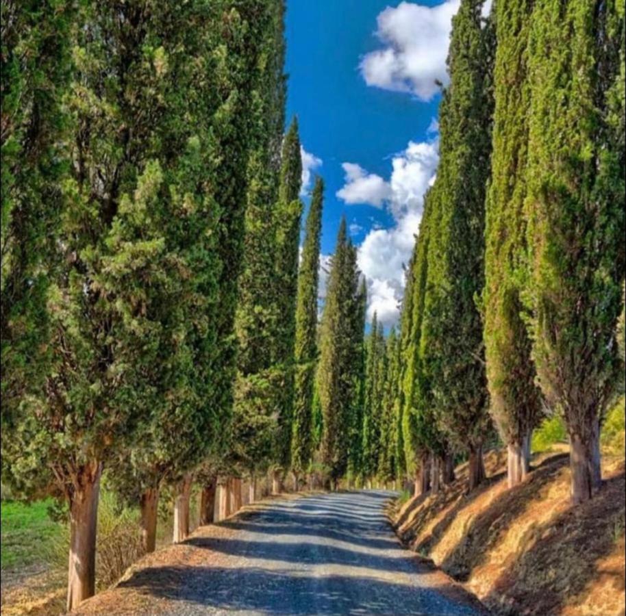 Agriturismo Fattoria Il Piano - Appartamento Focolare - Σαν Τζιμινιάνο Εξωτερικό φωτογραφία